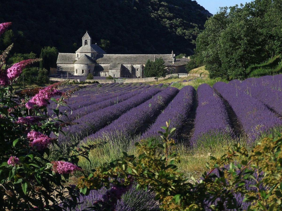 Les Cerises Bed and Breakfast Saint-Saturnin-d'Apt Eksteriør billede
