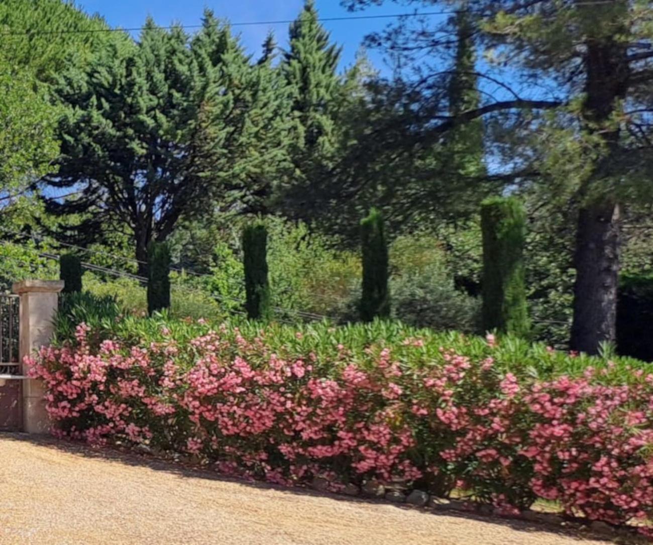 Les Cerises Bed and Breakfast Saint-Saturnin-d'Apt Eksteriør billede